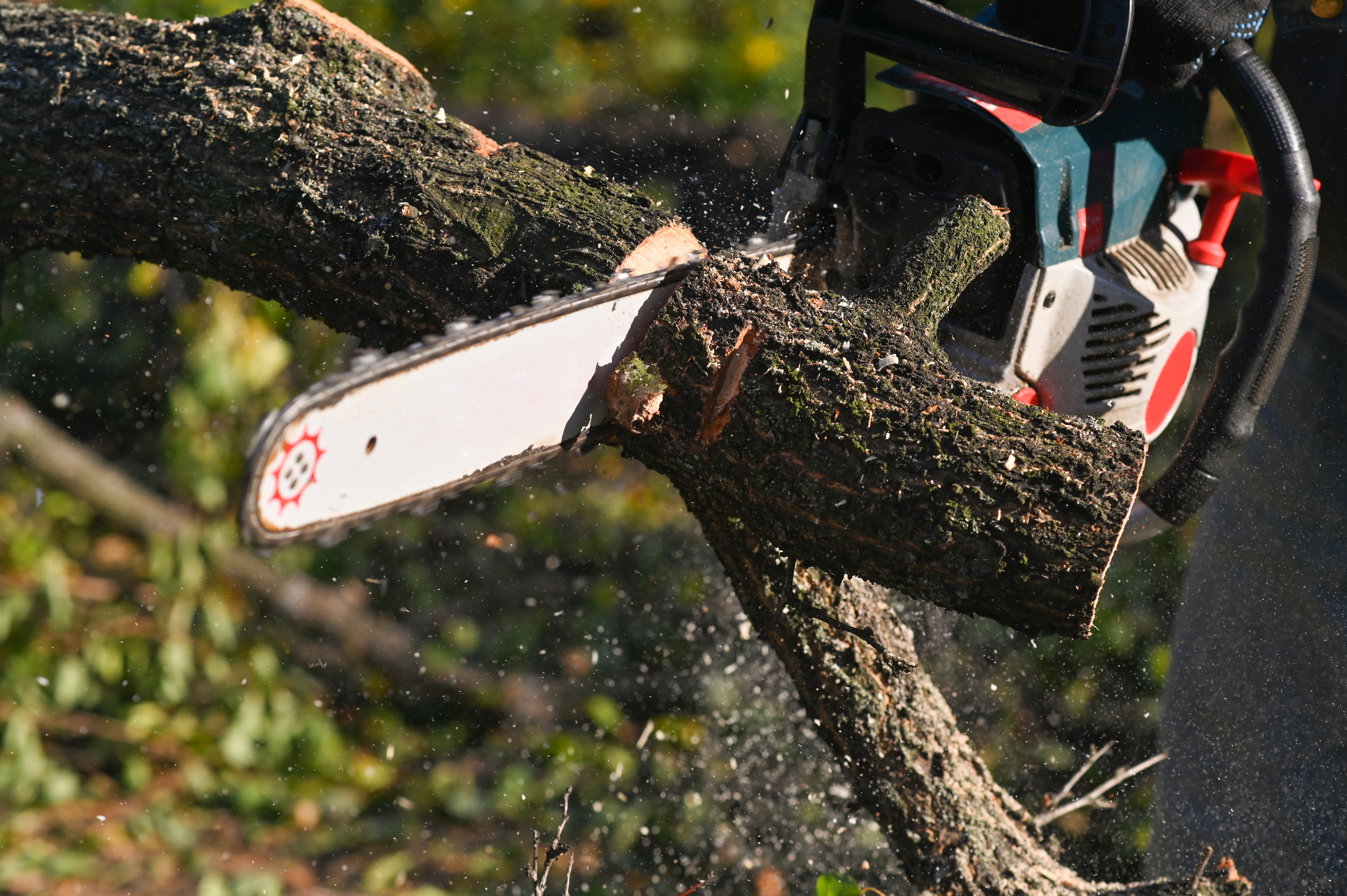 Stump grinding and removal service